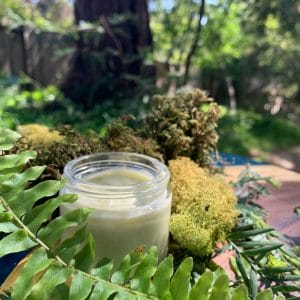 “In the Woods” Hand Cream (2 oz. jar)
