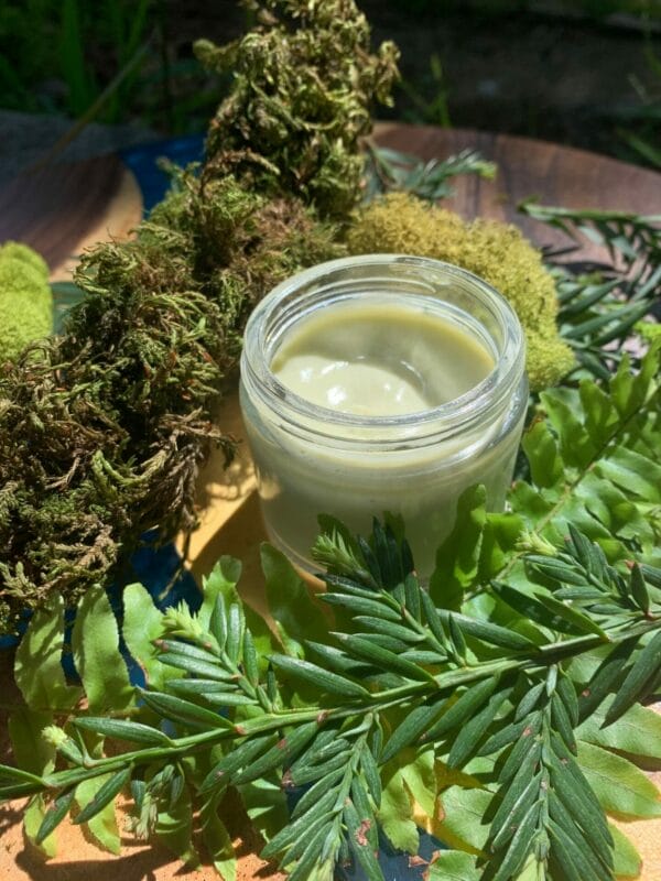 “In the Woods” Hand Cream (2 oz. jar)