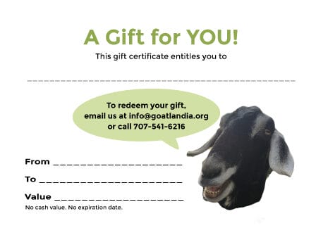 Goatlandia Gift Certificate