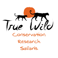 True WIld Logo